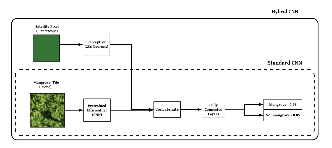 Mangrove Ecosystem Detection using Mixed-Resolution Imagery with a Hybrid-Convolutional Neural Network